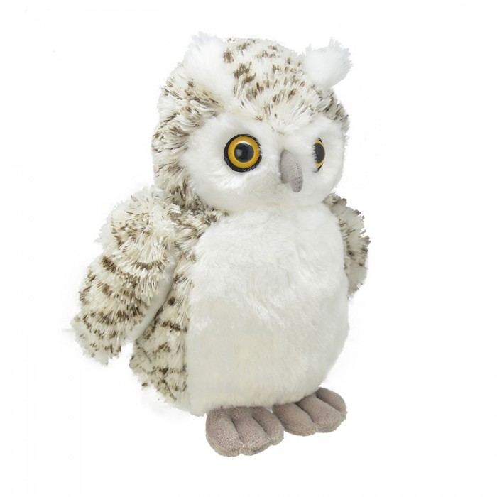 ������ ������� All About Nature ���� 20 ��