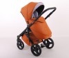 Lonex Comfort Galaxy 2  1 - Lonex Comfort Galaxy 2  1