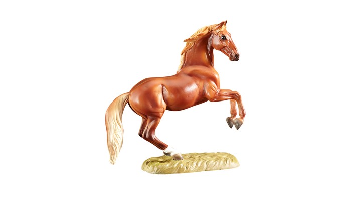  Breyer    (   )