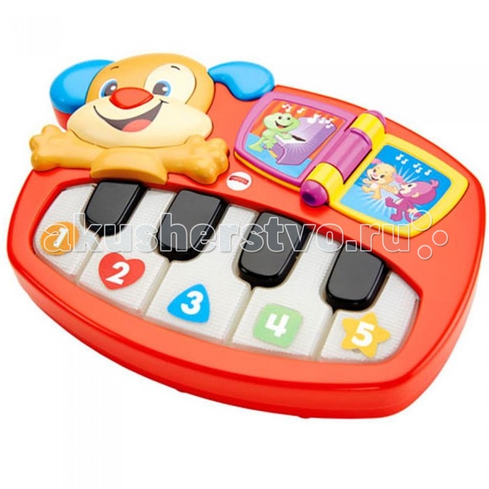  Fisher Price    -