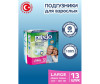  Predo Adult    L 13 . - Predo Adult    L 13 .
