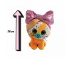   Shokid Little Bow Pets  Butterscotch    18  - Shokid Little Bow Pets  Butterscotch    18 