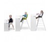    Childhome Evolu 3  1 - Childhome Evolu 3  1