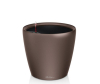  Lechuza     CLassico 43 LS   4239.5  28  - 16081_2-1670842750