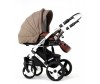  Retrus  Dynamic 2  1 - Retrus  Dynamic 2  1