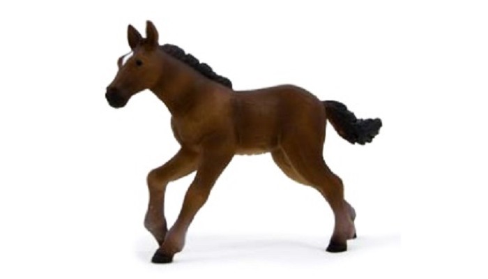  Mojo Animal Planet   S