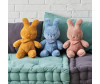   Nattou Soft toy Tipidou  - Nattou Soft toy Tipidou 