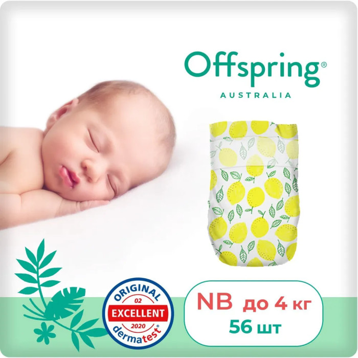  Offspring   NB (2-4 ) 56 .