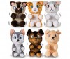   IMC toys Club Petz  - IMC toys Club Petz    