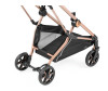   Peg-perego Vivace - Peg-perego Vivace