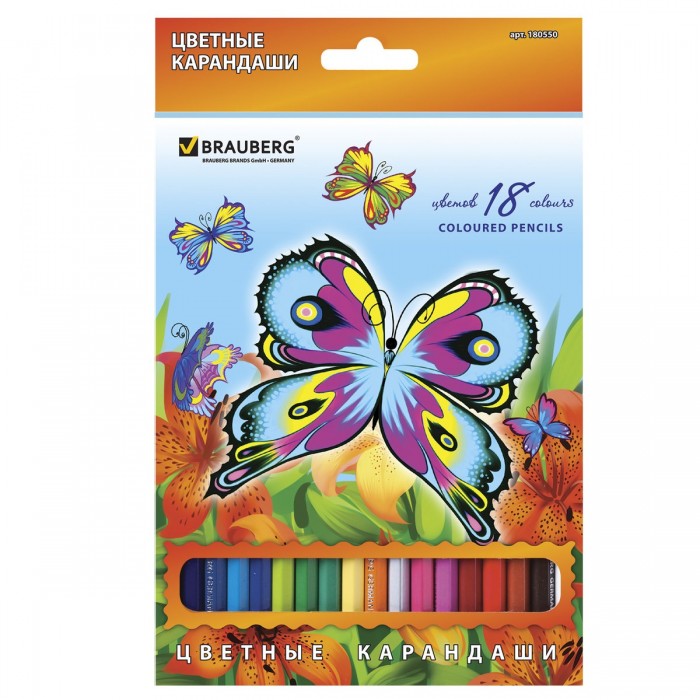  Brauberg    Wonderful butterfly 18 