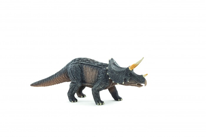  Mojo Animal Planet  XXL