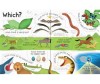  Usborne Lift-the-Flap Questions and Answers about Animals - Usborne Lift-the-Flap Questions and Answers about Animals