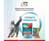  Purina ONE          75  - Purina ONE          75 