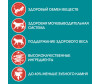  Purina ONE          75  - Purina ONE          75 