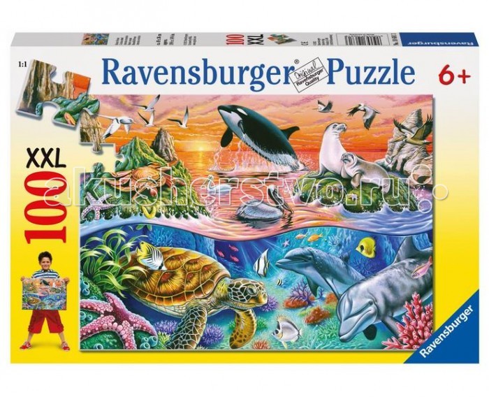  Ravensburger    100 