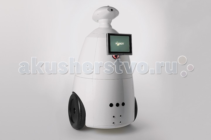  R.Bot    100