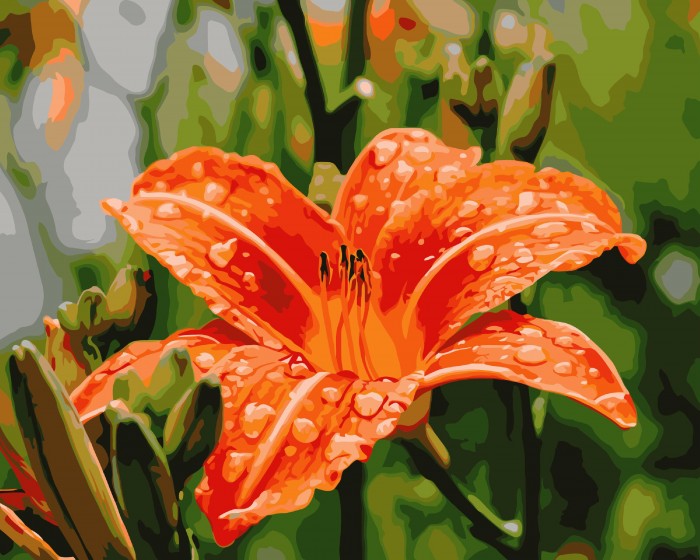  ������� �������� ����� ��� ���������� ��������� �� ������� ����� 50�40