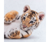    1.5  Little tiger (3 ) - 7582916_2-1675320020