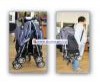  Jetem    Elegant Twin - Jetem (Capella) Elegant Twin