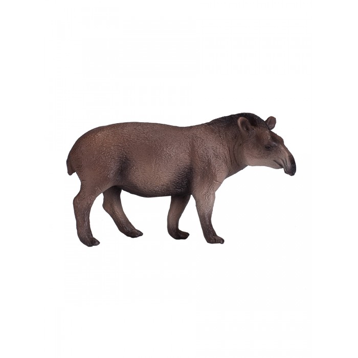  Mojo Animal Planet    M