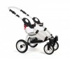 - Reindeer City Lily - Reindeer City Prestige Lily