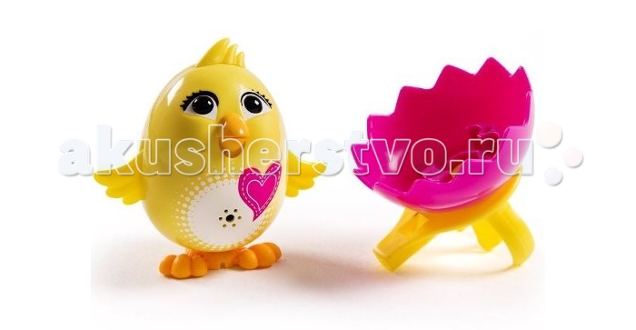   Digibirds 