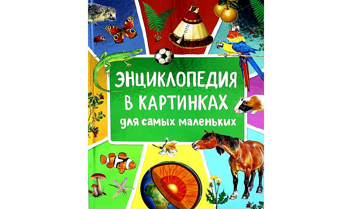 Росмэн Л.Клюшник Энциклопедия в картинках для самых маленьких ...
