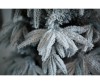 Green Trees     150  - Green Trees     150 