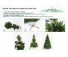  Green Trees     150  - Green Trees     150 