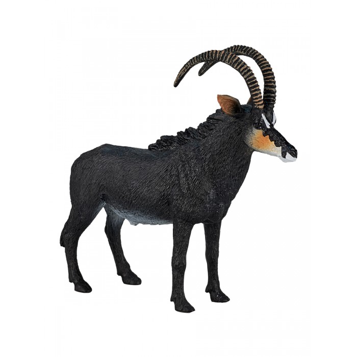  Mojo  Animal Planet     XL