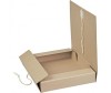  Attache Economy       50  - Attache Economy       50 