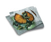  ND Play    Jurassic World 33x33  20 . - ND Play    Jurassic World 33x33  20 .