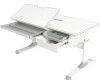  FunDesk   Fiore   Solidago c  - FunDesk   Fiore   Solidago c 