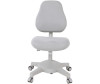  FunDesk   Fiore   Solidago c  - FunDesk   Fiore   Solidago c 