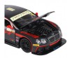    Bentley Continental GT3 1:32 -   Bentley Continental GT3 1:32