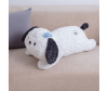   KiDWoW   374469320 - DL606218536W__5__1_.JPG-1698797582