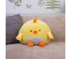   KiDWoW   325037752 - DL202705021YE__1_.JPG-1698770166
