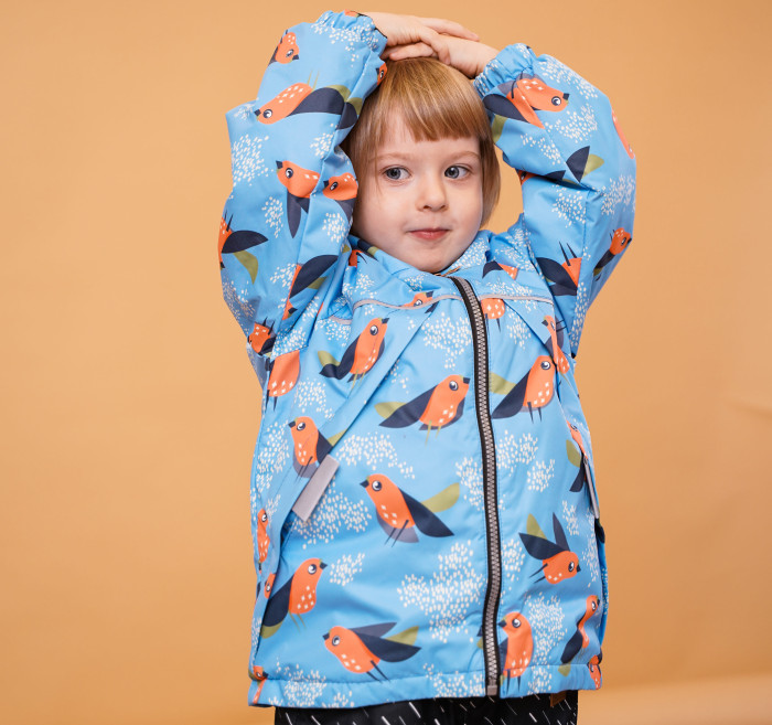  Forest kids    Cantro - Birds/