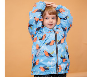  Forest kids    Cantro - Birds/