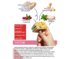  ProteinRex     STRONG   330  100  - 3-1648458706