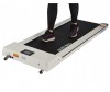  Evo Fitness    Fusion - EVO FITNESS    Fusion