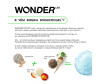  Wonder Lab    ,           1000  - Wonder Lab    ,           1000 