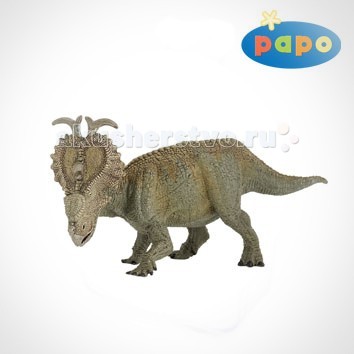  Papo    