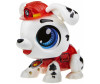     (Paw Patrol)   -   (Paw Patrol)  