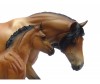  Breyer      - Breyer     