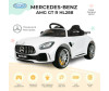  Barty Mercedes-Benz AMG GT R  - Barty Mercedes-Benz AMG GT R