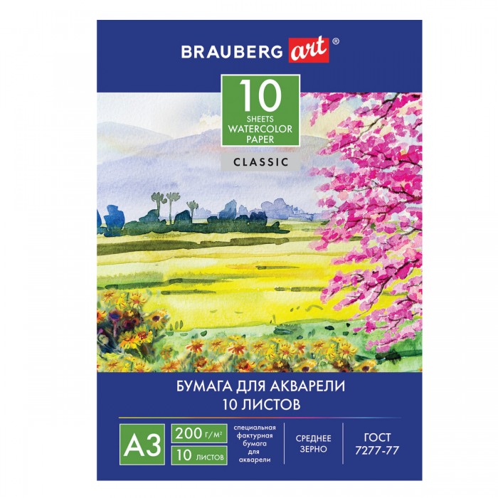  Brauberg     3 297420  10  111064