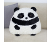   KiDWoW   379028423 - JX603519313BK__1__1_.JPG-1698779835