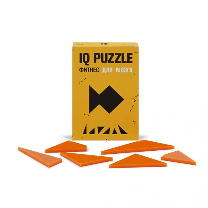  IQ Puzzle  